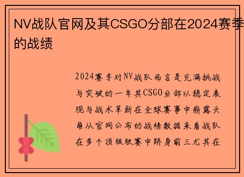 NV战队官网及其CSGO分部在2024赛季的战绩